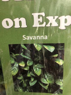 GreenFX Willow Trellis 2m w  x 1m h Savanna Hedge