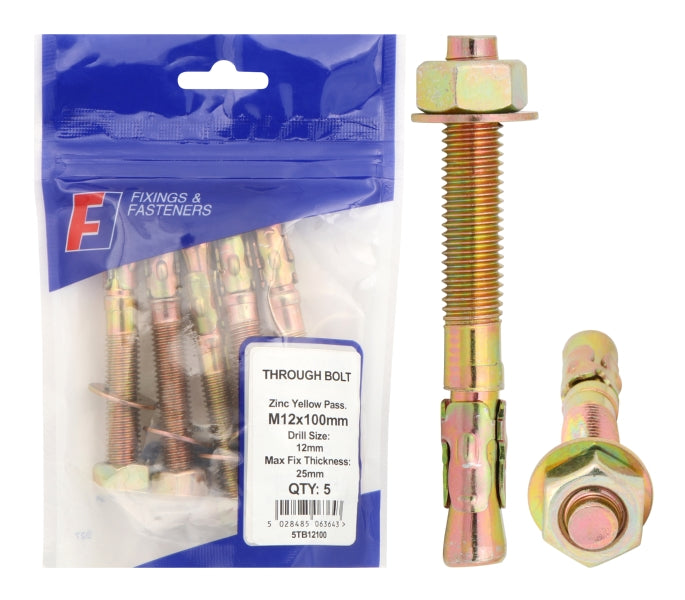 Forgefix Through Bolt M10x100mm (Bag10)